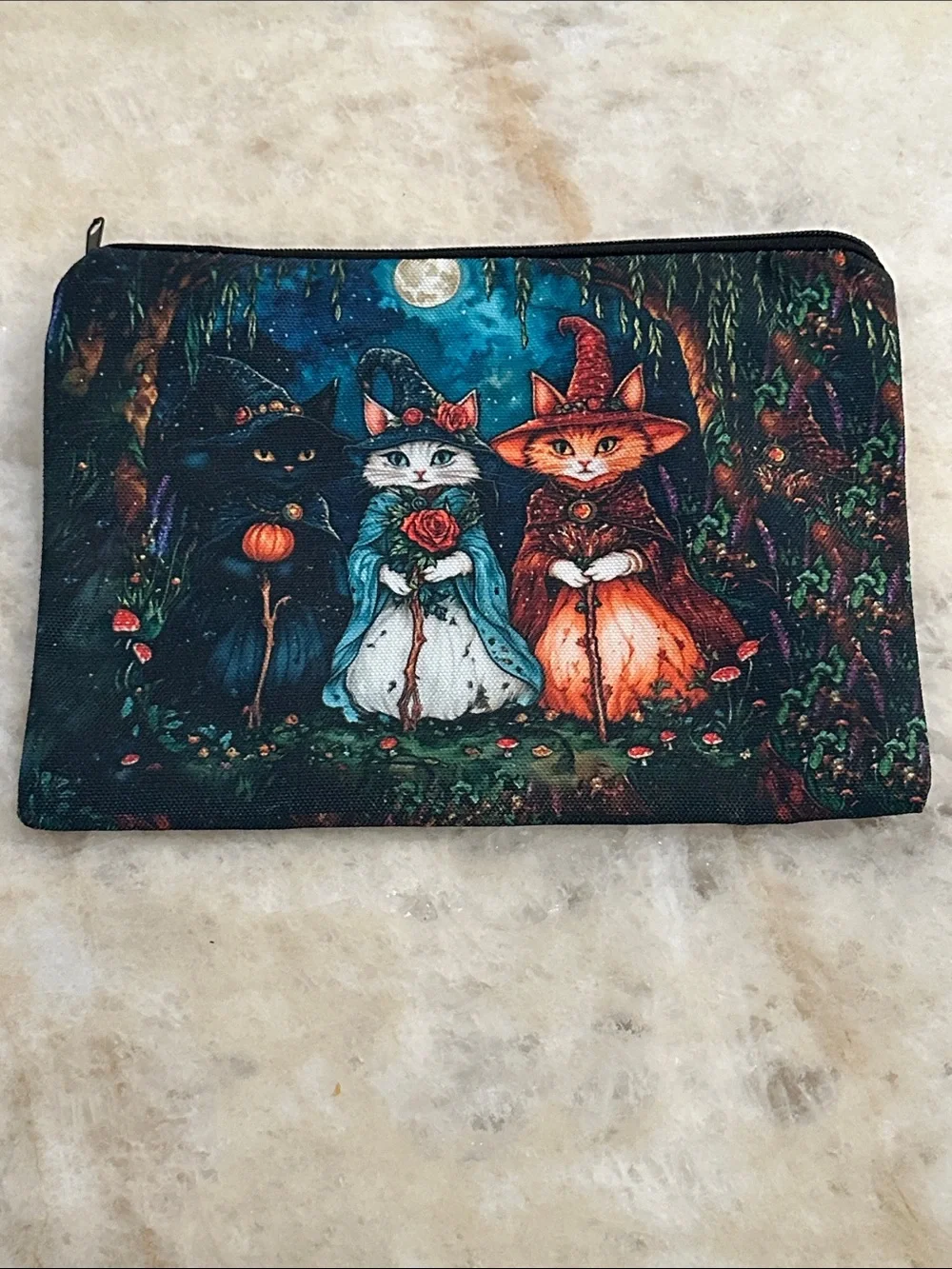 Witch Cat Print Zipper Pouch - Black/Multicolor